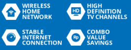 fitur internet